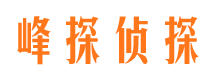 田林寻人公司